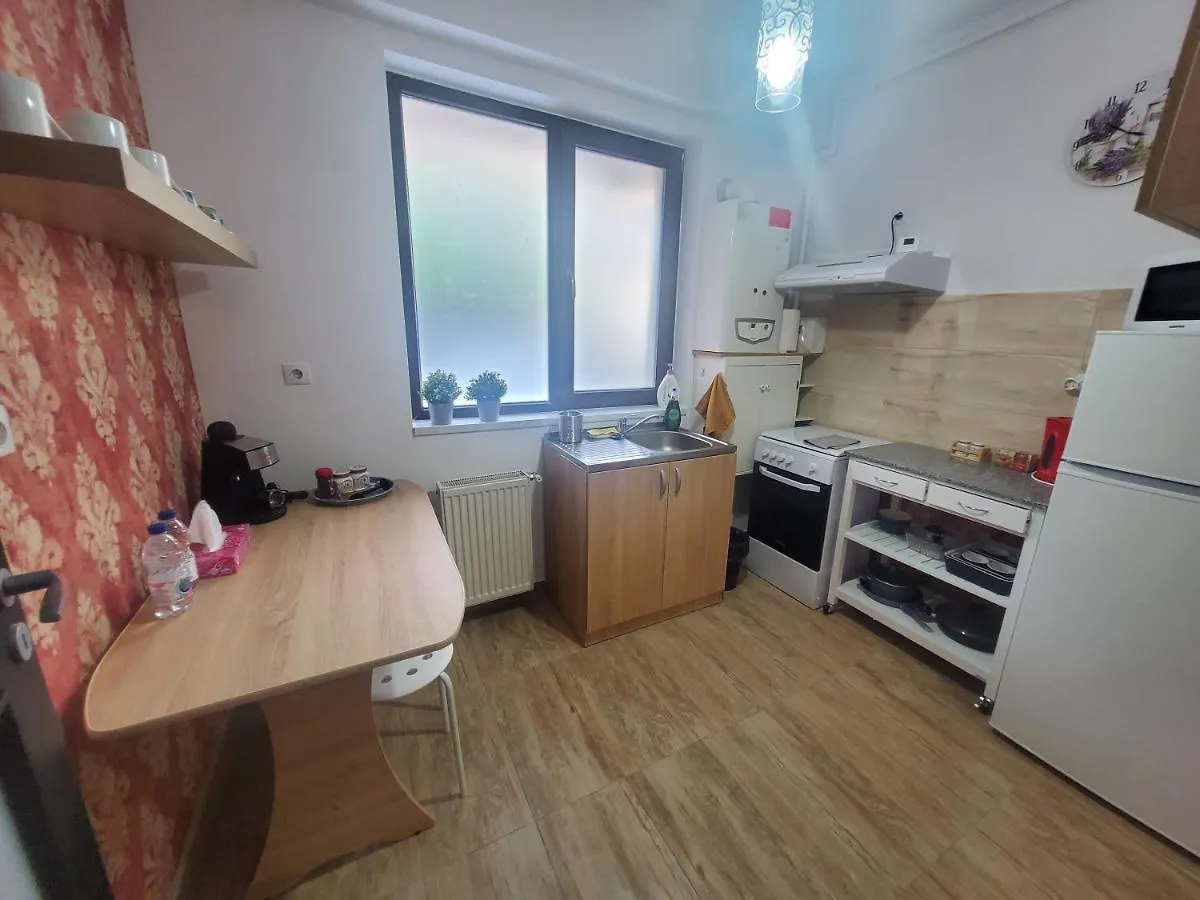Morii Lake Special Apartment Bukurešť Rumunsko
