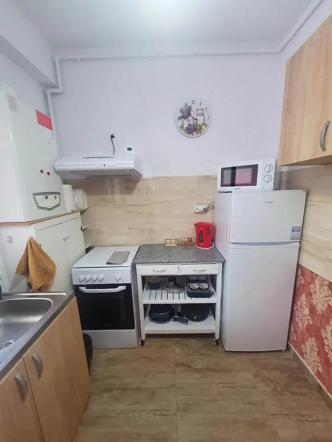 Morii Lake Special Apartment Bukurešť